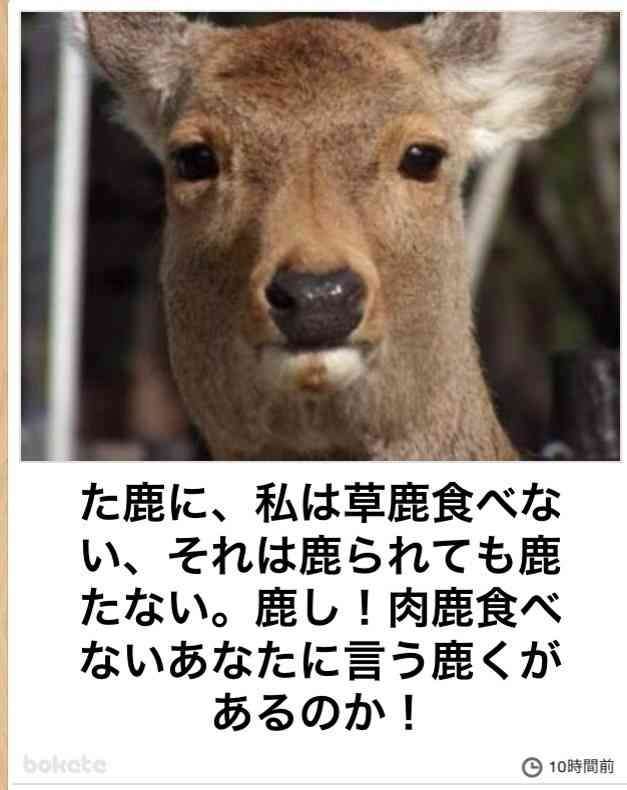 いつかガルちゃんで使おうと保存している画像