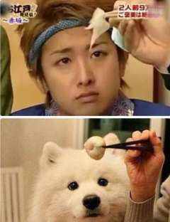 いつかガルちゃんで使おうと保存している画像