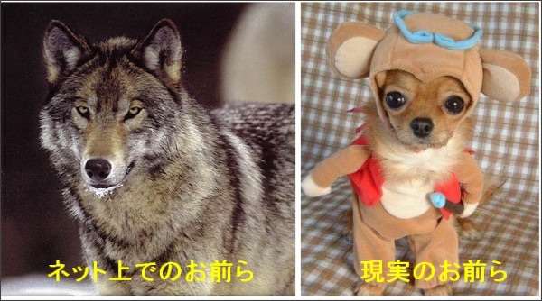 いつかガルちゃんで使おうと保存している画像