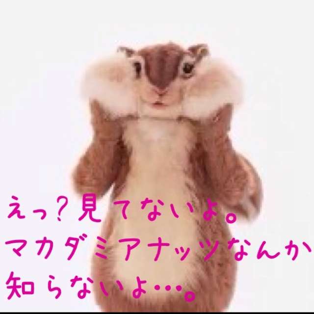いつかガルちゃんで使おうと保存している画像