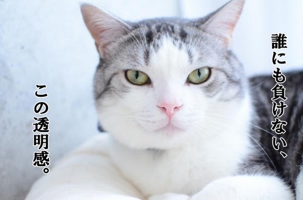 広瀬すず、嵐・大野智を「40歳と思った」