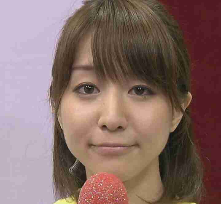 「田中みな実と飲める会」参加費200万円のトホホな評判