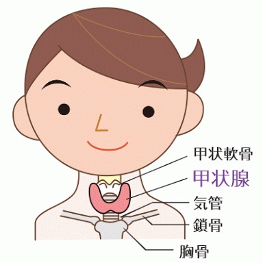 甲状腺でお悩みの方、いろいろ語り合いましょう！