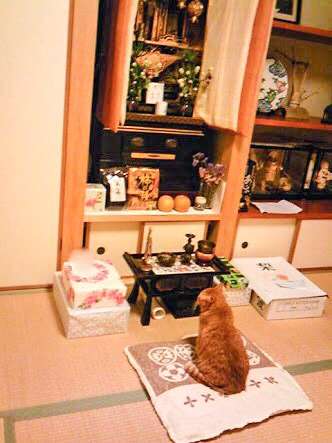 家事が終わったら。
