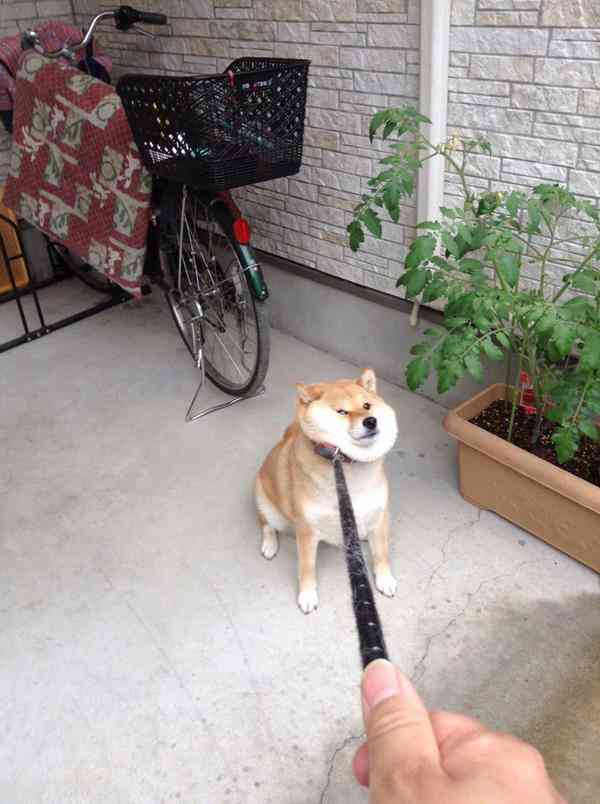 目の保養 見て癒されるもの♪