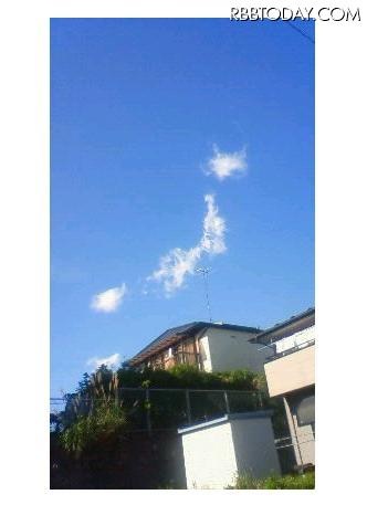 目の保養 見て癒されるもの♪