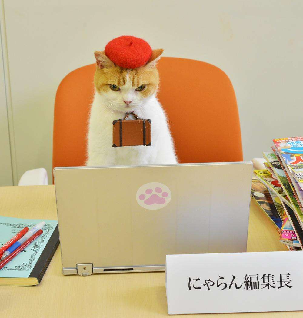 気になるCM