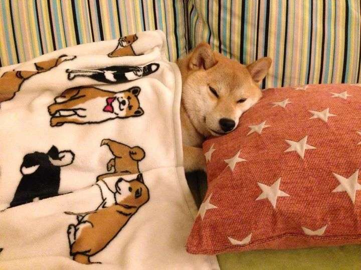 異性に言われて嬉しかったこと