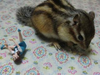 皆さんどんなペットを飼っていますか？