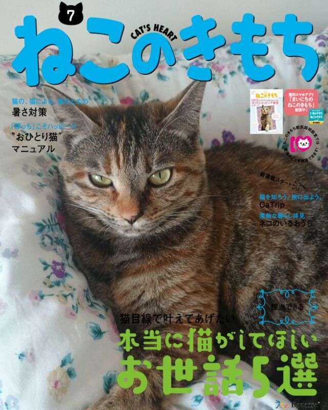 皆さんどんなペットを飼っていますか？