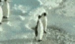人生で一番笑ったこと