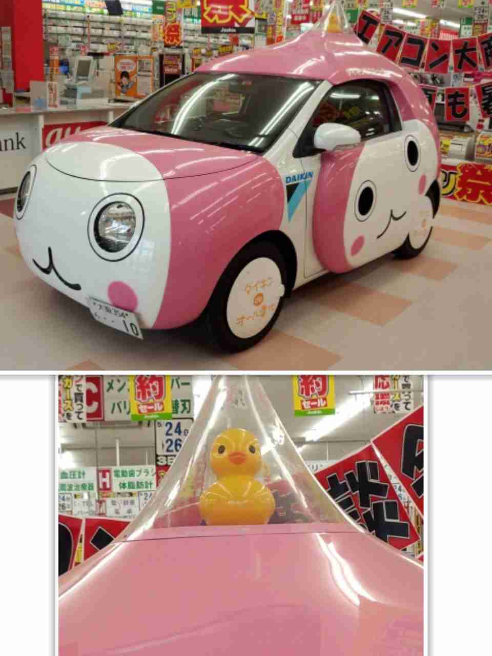 今までに見たちょっと珍しいもの