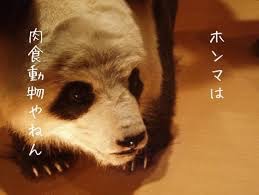 夢を壊すひとことをどうぞ!