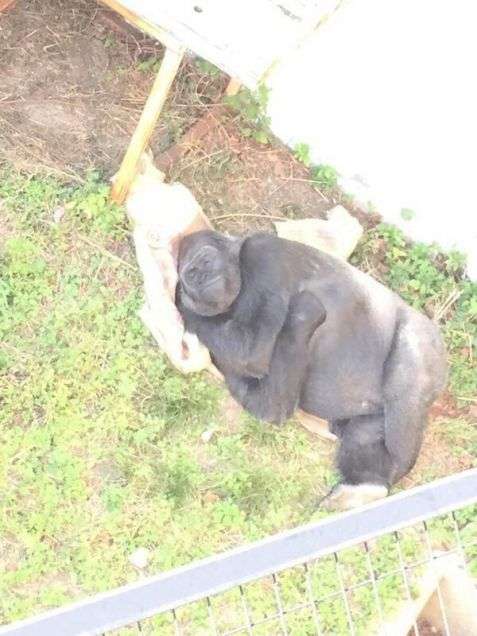 最近の小さな考え事
