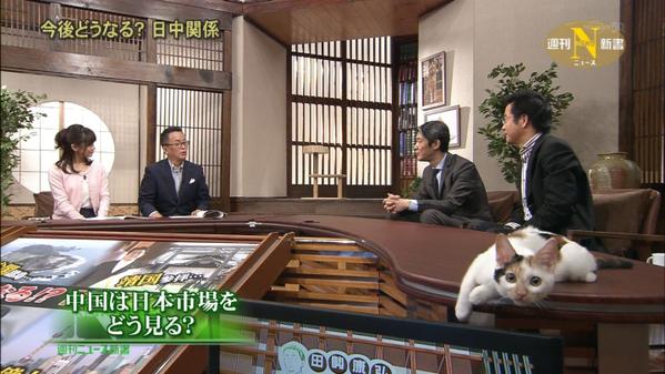 好きなテレビ番組は