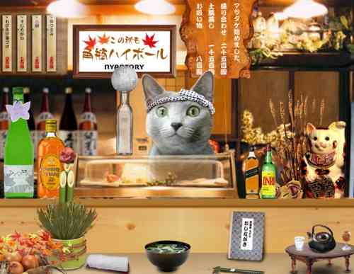 まったり居酒屋開店～11店舗目