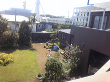 大島美幸が芸人魂