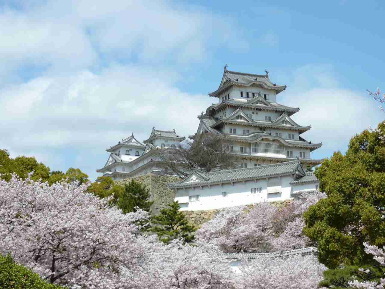 もしもあと1年後に日本から引っ越さなければいけなかったら何をしますか?