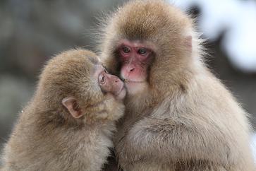 辻希美、夫・杉浦太陽とラブラブバースデー「俺からのハートのプレゼント」
