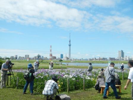 東京のオススメ