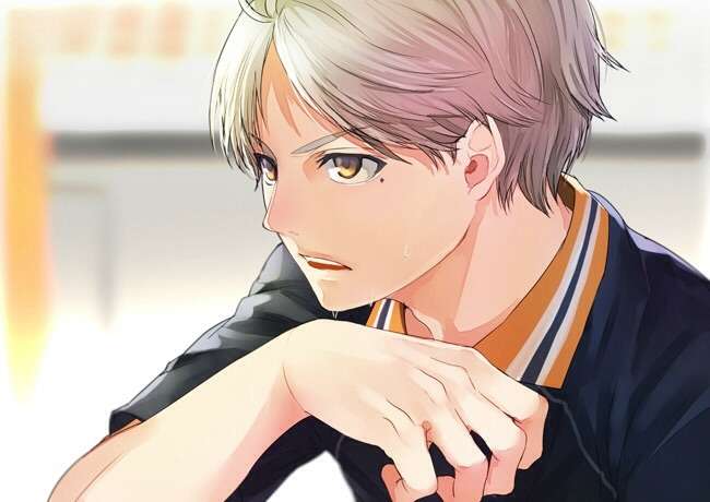 アニメの登場人物と結婚できるなら