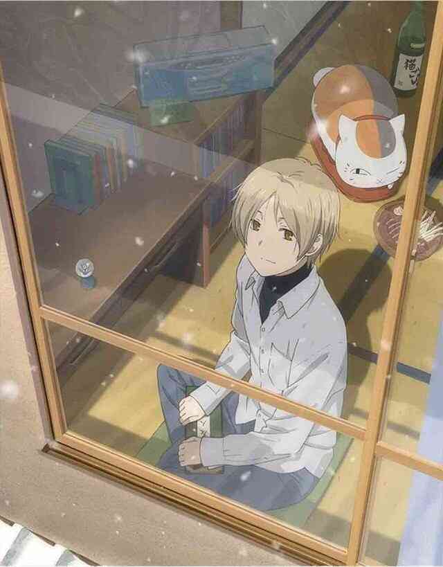 アニメの登場人物と結婚できるなら