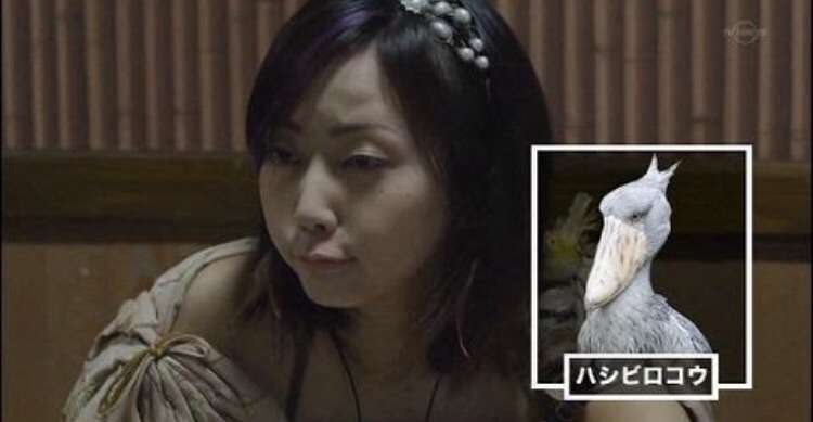 「勇者ヨシヒコ」好きな人ー！