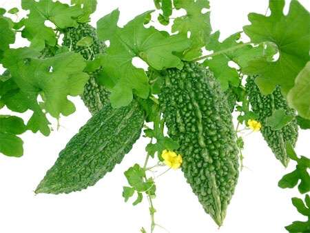 健康に良いと言われ、なるたけ食べる様にしている食材野菜ありますか。
