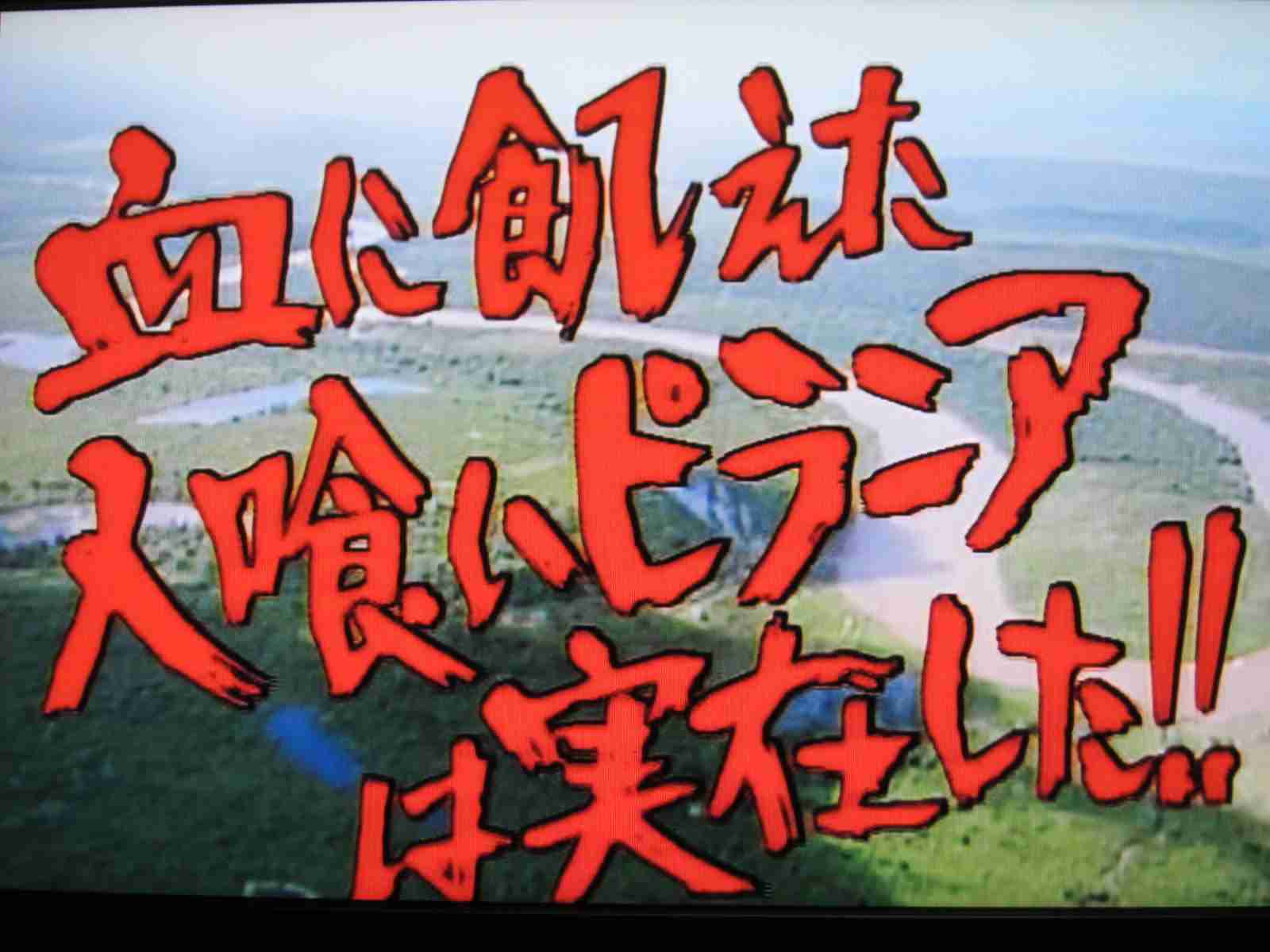 「昭和」を感じる言葉といえば？