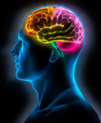 人に対する直感当たってますか？