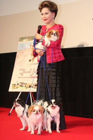 セレブタレントあるある
