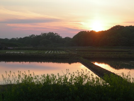 この曲で想像する風景。