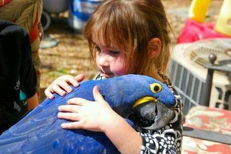 鳥の画像を貼っていく