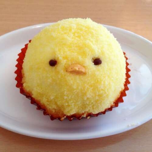 鳥の画像を貼っていく