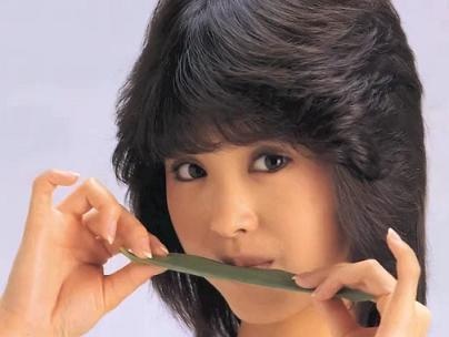 昔のアイドルを貼ろう