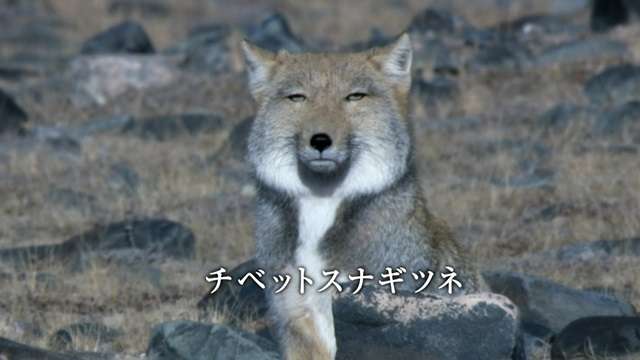 聞いた瞬間見た瞬間「キモッ‼︎」って思ったこと