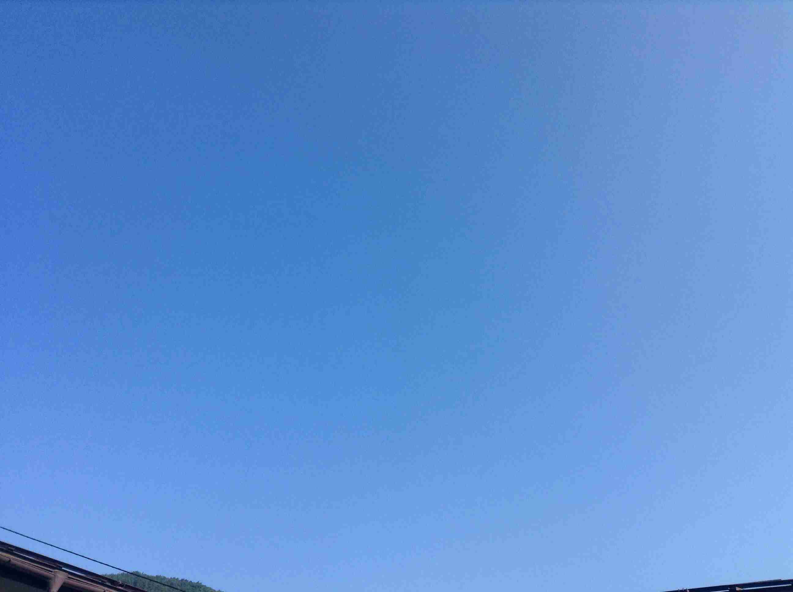 久しぶりに晴れた週末！何しますか？