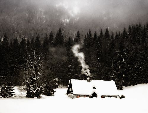 雪景色の写真を見て涼むトピ