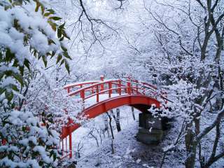 雪景色の写真を見て涼むトピ