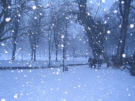 雪景色の写真を見て涼むトピ