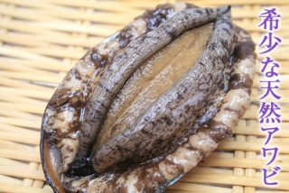 貝でお腹一杯になりたい