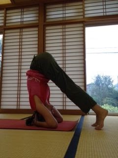 逆立ち健康法やってる方いますか？