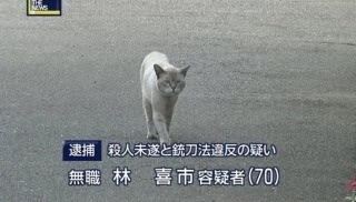 「いや…それ違うし…。」な画像トピ