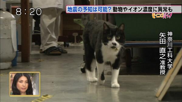 「いや…それ違うし…。」な画像トピ