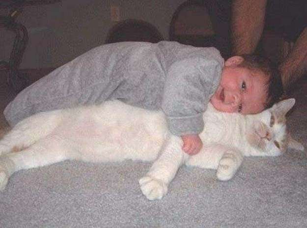笑える動物の画像下さい（セリフ付き）