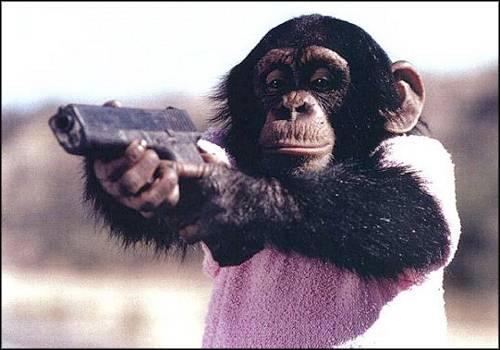 笑える動物の画像下さい（セリフ付き）