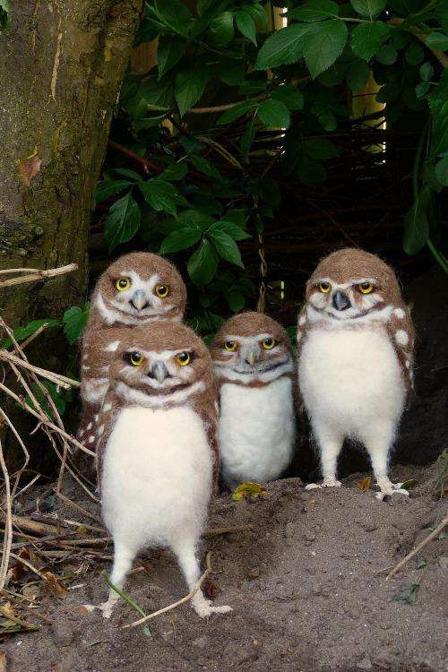 笑える動物の画像下さい（セリフ付き）
