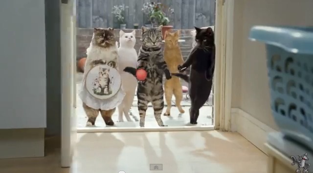 笑える動物の画像下さい（セリフ付き）