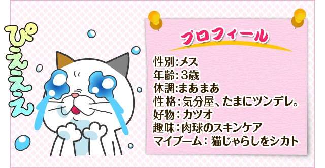 LINEスタンプ、何使ってる?