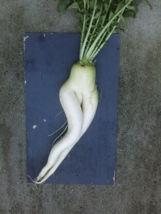 画像にそれっぽいタイトルをつけてみるトピ